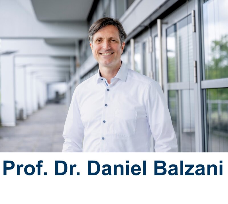 Prof. Dr. Daniel Balzani