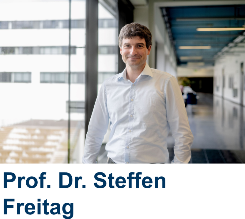Prof. Dr. Steffen Freitag