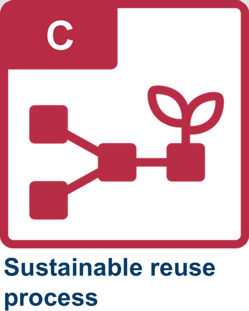 Projekt Icon C Englisch